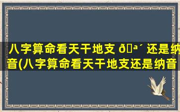 八字算命看天干地支 🪴 还是纳音(八字算命看天干地支还是纳音五行)